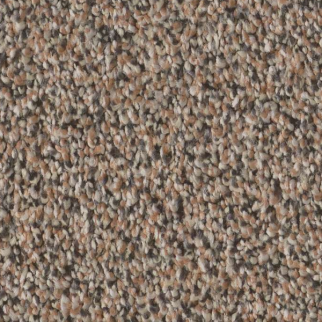 Shaw Floors Artistic Fusion I Moonwalk SHAW