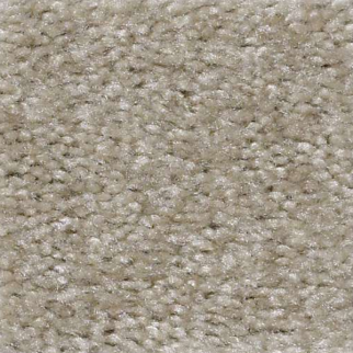 Shaw Floors Zipp Neutra SHAW