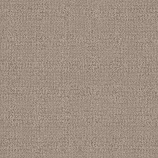 Shaw Floors Embellished Perfect Taupe SHAW