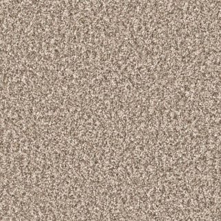 Shaw Floors Renewed Energy II Sandstone SHAW