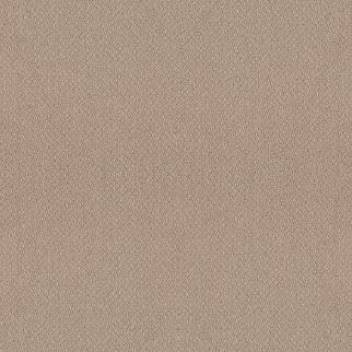 Shaw Floors Embellished Thatched Roof SHAW