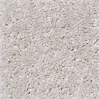 Shaw Floors Roadster China White SHAW