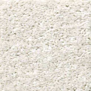 Shaw Floors After All I Sugar Cookie SHAW