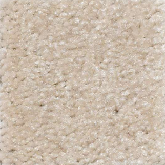 Shaw Floors Zipp Gauze SHAW