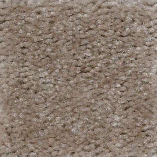 Shaw Floors Zipp Gentle Maize SHAW