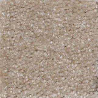 Shaw Floors Zipp Del Sol SHAW