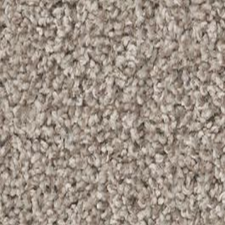 Shaw Floors Shake It Up (T) 13 Balboa Mist SHAW