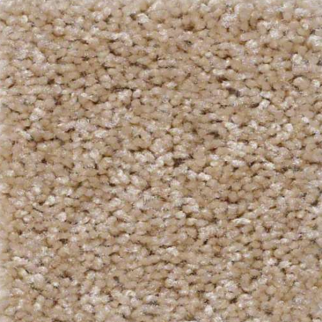 Shaw Floors Roadster Beachcomber SHAW