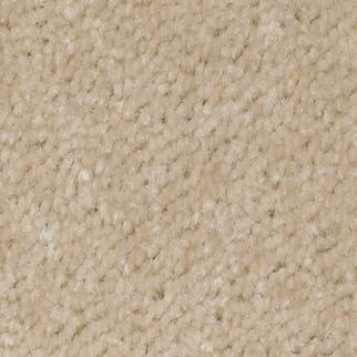 Shaw Floors XV071 Bleached Straw SHAW