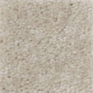 Shaw Floors Zipp Muslin SHAW