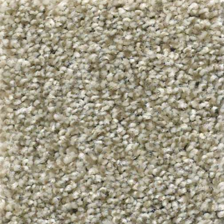 Shaw Floors Cabana Life Tweed Pebble Creek SHAW