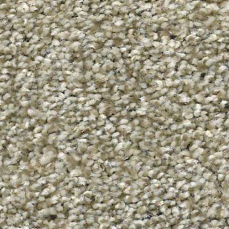 Shaw Floors Cabana Bay T Pebble Creek SHAW