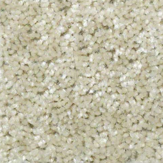 Shaw Floors Play Hard Balsa SHAW