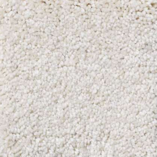 Shaw Floors Magic At Last II 12' Parmesan SHAW