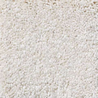 Shaw Floors Magic At Last III 12' Parmesan SHAW