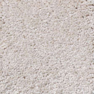 Shaw Floors Magic At Last I 12' Sea Salt SHAW