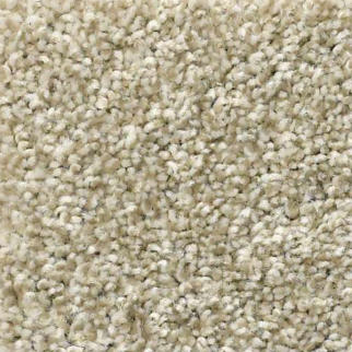 Shaw Floors Cabana Life Tweed Wheat Field SHAW