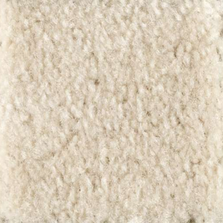 Shaw Floors Optimum Wool Skin SHAW