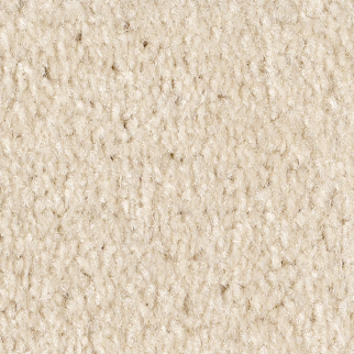 Shaw Floors Affirmed Wool Skin SHAW
