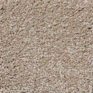 Shaw Floors Magic At Last II 12' Shell SHAW