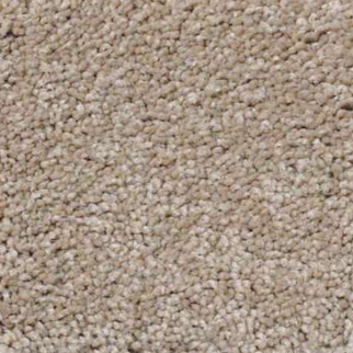 Shaw Floors Magic At Last I 15' Shell SHAW