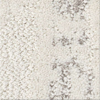 Shaw Floors Tranquil Spirit Snowfall SHAW