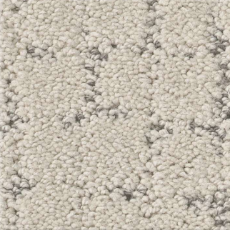 Shaw Floors Block Party Snowfall SHAW