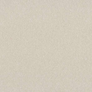 Shaw Floors Hard At Play I 15' Snowfall SHAW