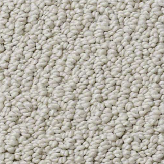 Shaw Floors Truly Relaxed Loop Textured Canvas SHAW