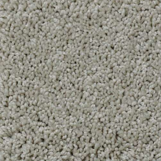 Shaw Floors My Choice I Textured Canvas SHAW