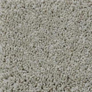 Shaw Floors My Choice II Textured Canvas SHAW