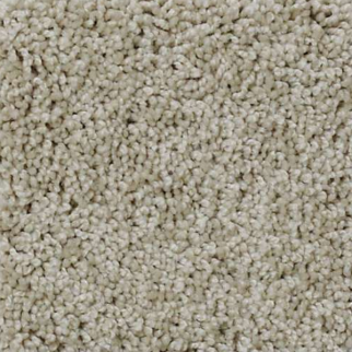 Shaw Floors My Choice III Bare Essence SHAW