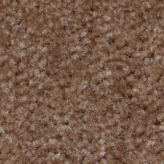 Shaw Floors Zipp Plus Buckskin SHAW