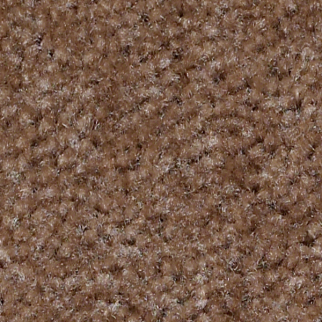 Shaw Floors QS112 Buckskin SHAW