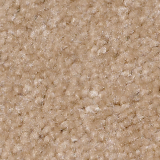 Shaw Floors Zipp Plus Muffin SHAW