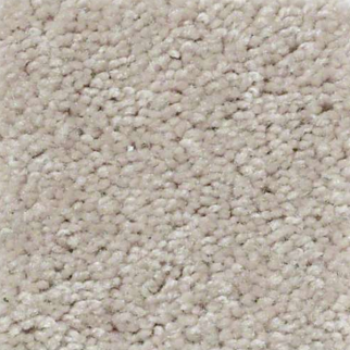 Shaw Floors Essay II 12' Sheer Ecru SHAW