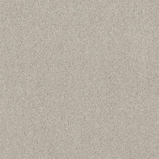 Tuftex Cozy Harbor I Thoughtful SHAW