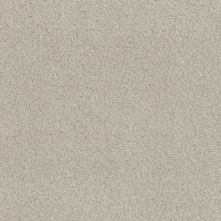 Tuftex Cozy Harbor II Thoughtful SHAW