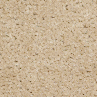 Shaw Floors Zipp Plus Putty SHAW