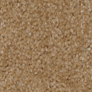 Shaw Floors XV071 Wheat Field SHAW