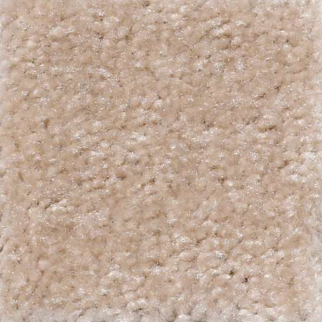 Shaw Floors Zipp Camel Dust SHAW