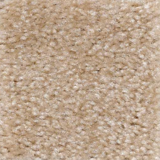 Shaw Floors Zipp Young Oak SHAW