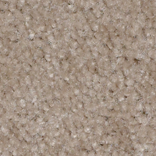 Shaw Floors Zipp Plus Driftwood SHAW