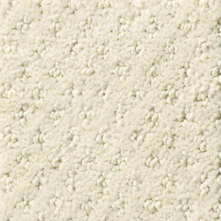 Shaw Floors Infallible Instinct Alabaster SHAW