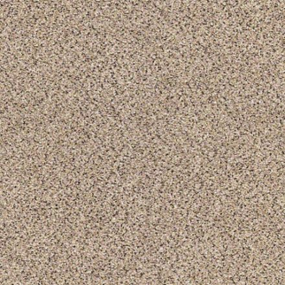 Shaw Floors Take The Floor Accent II Desert Sunrise SHAW