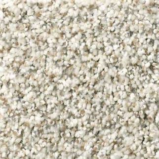 Shaw Floors Make It Work Scenic Drive SHAW