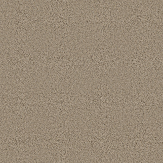 Shaw Floors Abilene I Sand Castle SHAW