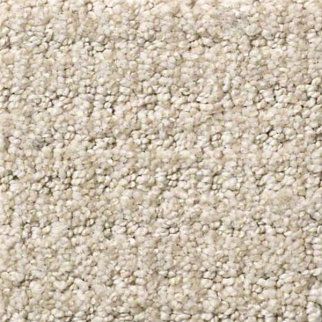 Shaw Floors Sensible Now Passageway SHAW