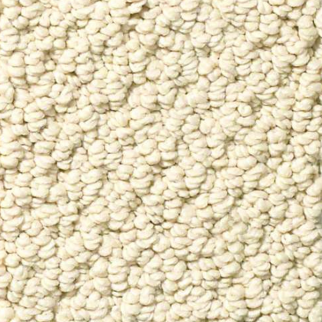 Shaw Floors Smart Thinking Treasure SHAW