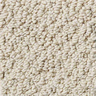 Shaw Floors Smart Thinking Shoreline SHAW